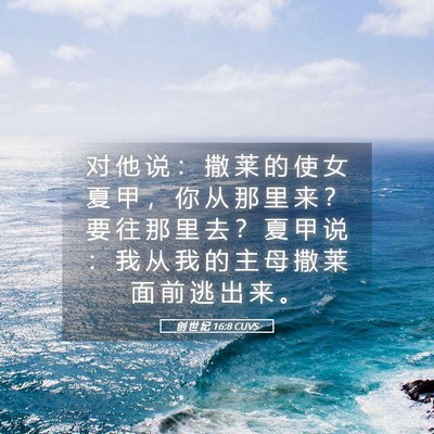 Picture 05 - 创 世 纪 16:8 CUVS - 对 他 说 ： 撒 莱 的 使 女 夏 甲 ， - Bible Verse Picture