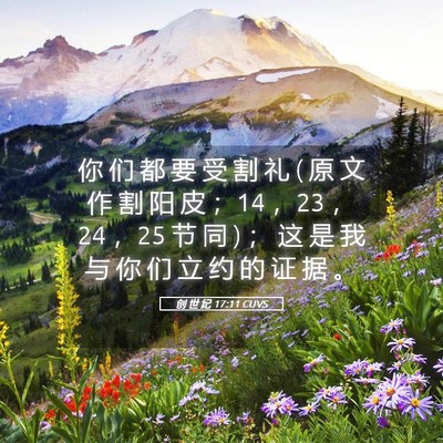 Picture 05 - 创 世 纪 17:11 CUVS - 你 们 都 要 受 割 礼 ( 原 文 作 割 阳 - Bible Verse Picture