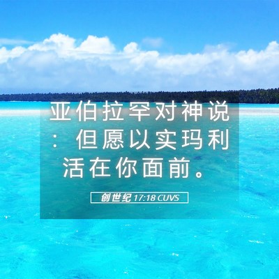 Picture 05 - 创 世 纪 17:18 CUVS - 亚 伯 拉 罕 对 神 说 ： 但 愿 以 实 - Bible Verse Picture