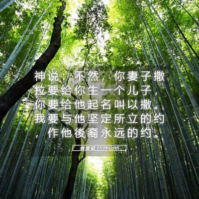 Picture 05 - 创 世 纪 17:19 CUVS - 神 说 ： 不 然 ， 你 妻 子 撒 拉 要 - Bible Verse Picture