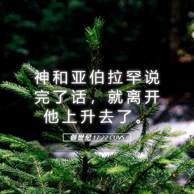 Picture 05 - 创 世 纪 17:22 CUVS - 神 和 亚 伯 拉 罕 说 完 了 话 ， 就 - Bible Verse Picture
