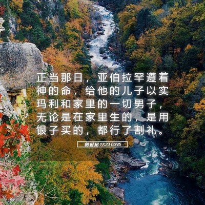 Picture 05 - 创 世 纪 17:23 CUVS - 正 当 那 日 ， 亚 伯 拉 罕 遵 着 神 - Bible Verse Picture