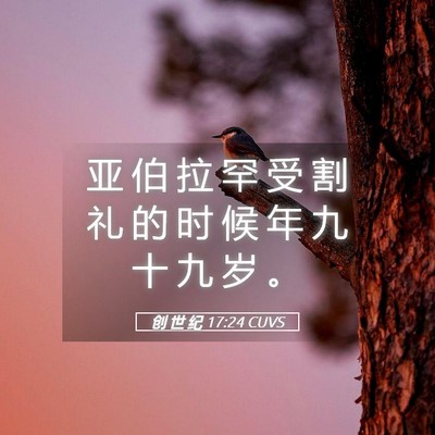 Picture 05 - 创 世 纪 17:24 CUVS - 亚 伯 拉 罕 受 割 礼 的 时 候 年 九 - Bible Verse Picture