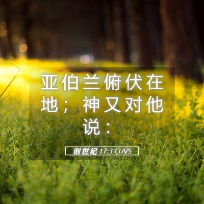 Picture 05 - 创 世 纪 17:3 CUVS - 亚 伯 兰 俯 伏 在 地 ； 神 又 对 他 - Bible Verse Picture