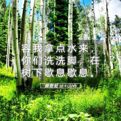 Picture 05 - 创 世 纪 18:4 CUVS - 容 我 拿 点 水 来 ， 你 们 洗 洗 脚 - Bible Verse Picture