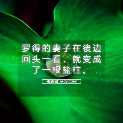 Picture 05 - 创 世 纪 19:26 CUVS - 罗 得 的 妻 子 在 後 边 回 头 一 看 - Bible Verse Picture
