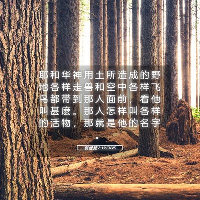 Picture 05 - 创 世 纪 2:19 CUVS - 耶 和 华 神 用 土 所 造 成 的 野 地 - Bible Verse Picture