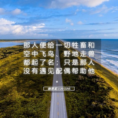 Picture 05 - 创 世 纪 2:20 CUVS - 那 人 便 给 一 切 牲 畜 和 空 中 飞 - Bible Verse Picture