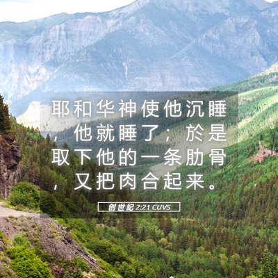 Picture 05 - 创 世 纪 2:21 CUVS - 耶 和 华 神 使 他 沉 睡 ， 他 就 睡 - Bible Verse Picture