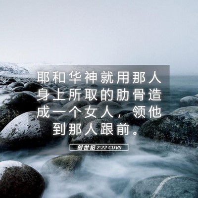 Picture 05 - 创 世 纪 2:22 CUVS - 耶 和 华 神 就 用 那 人 身 上 所 取 - Bible Verse Picture