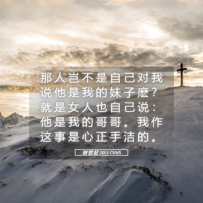 Picture 05 - 创 世 纪 20:5 CUVS - 那 人 岂 不 是 自 己 对 我 说 他 是 - Bible Verse Picture