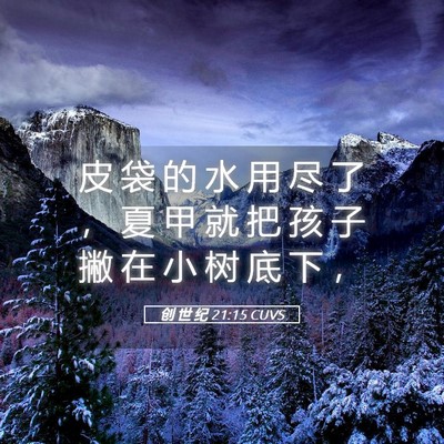 Picture 05 - 创 世 纪 21:15 CUVS - 皮 袋 的 水 用 尽 了 ， 夏 甲 就 把 - Bible Verse Picture