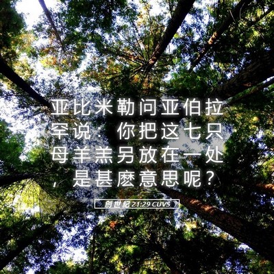 Picture 05 - 创 世 纪 21:29 CUVS - 亚 比 米 勒 问 亚 伯 拉 罕 说 ： 你 - Bible Verse Picture