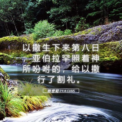 Picture 05 - 创 世 纪 21:4 CUVS - 以 撒 生 下 来 第 八 日 ， 亚 伯 拉 - Bible Verse Picture