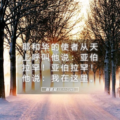 Picture 05 - 创 世 纪 22:11 CUVS - 耶 和 华 的 使 者 从 天 上 呼 叫 他 - Bible Verse Picture