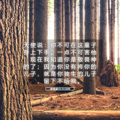 Picture 05 - 创 世 纪 22:12 CUVS - 天 使 说 ： 你 不 可 在 这 童 子 身 - Bible Verse Picture