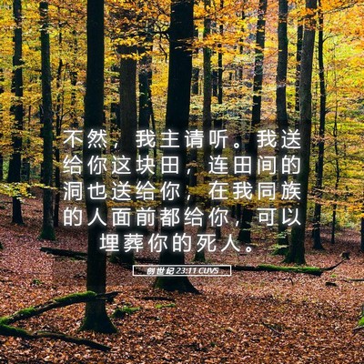 Picture 05 - 创 世 纪 23:11 CUVS - 不 然 ， 我 主 请 听 。 我 送 给 你 - Bible Verse Picture