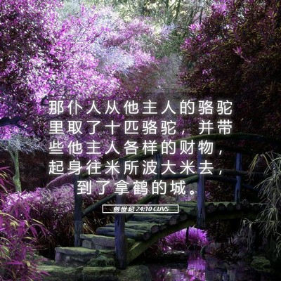 Picture 05 - 创 世 纪 24:10 CUVS - 那 仆 人 从 他 主 人 的 骆 驼 里 取 - Bible Verse Picture