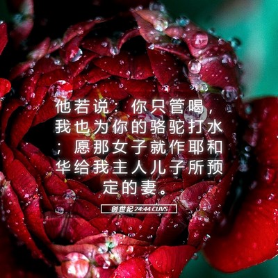 Picture 05 - 创 世 纪 24:44 CUVS - 他 若 说 ： 你 只 管 喝 ， 我 也 为 - Bible Verse Picture