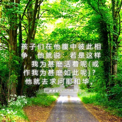 Picture 05 - 创 世 纪 25:22 CUVS - 孩 子 们 在 他 腹 中 彼 此 相 争 ， - Bible Verse Picture