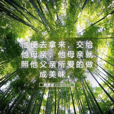 Picture 05 - 创 世 纪 27:14 CUVS - 他 便 去 拿 来 ， 交 给 他 母 亲 ； - Bible Verse Picture