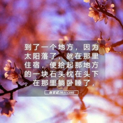 Picture 05 - 创 世 纪 28:11 CUVS - 到 了 一 个 地 方 ， 因 为 太 阳 落 - Bible Verse Picture