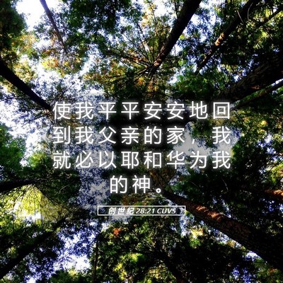 Picture 05 - 创 世 纪 28:21 CUVS - 使 我 平 平 安 安 地 回 到 我 父 亲 - Bible Verse Picture