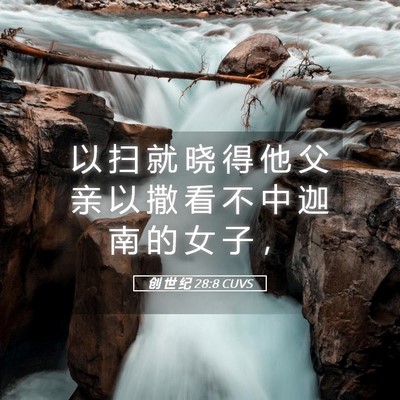 Picture 05 - 创 世 纪 28:8 CUVS - 以 扫 就 晓 得 他 父 亲 以 撒 看 不 - Bible Verse Picture