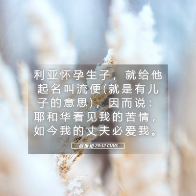 Picture 05 - 创 世 纪 29:32 CUVS - 利 亚 怀 孕 生 子 ， 就 给 他 起 名 - Bible Verse Picture
