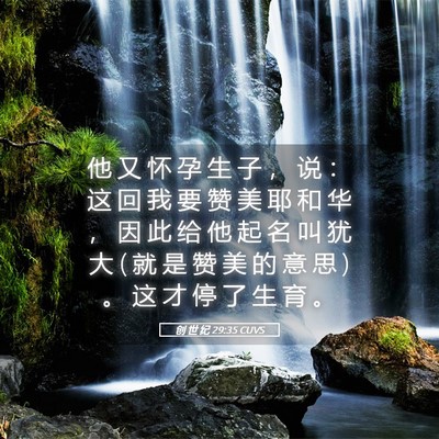 Picture 05 - 创 世 纪 29:35 CUVS - 他 又 怀 孕 生 子 ， 说 ： 这 回 我 - Bible Verse Picture