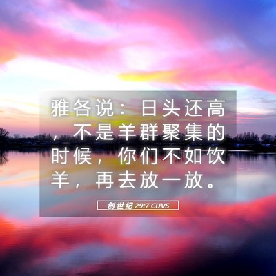 Picture 05 - 创 世 纪 29:7 CUVS - 雅 各 说 ： 日 头 还 高 ， 不 是 羊 - Bible Verse Picture