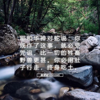 Picture 05 - 创 世 纪 3:14 CUVS - 耶 和 华 神 对 蛇 说 ： 你 既 作 了 - Bible Verse Picture