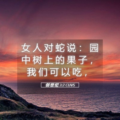 Picture 05 - 创 世 纪 3:2 CUVS - 女 人 对 蛇 说 ： 园 中 树 上 的 果 - Bible Verse Picture