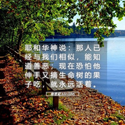 Picture 05 - 创 世 纪 3:22 CUVS - 耶 和 华 神 说 ： 那 人 已 经 与 我 - Bible Verse Picture