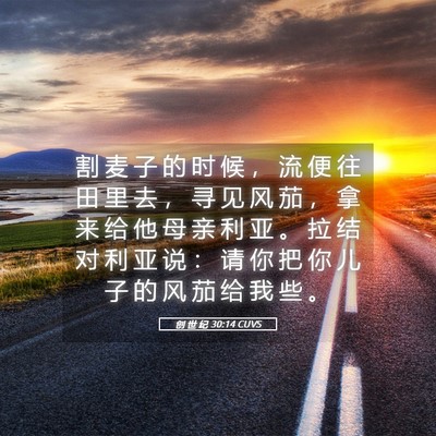 Picture 05 - 创 世 纪 30:14 CUVS - 割 麦 子 的 时 候 ， 流 便 往 田 里 - Bible Verse Picture