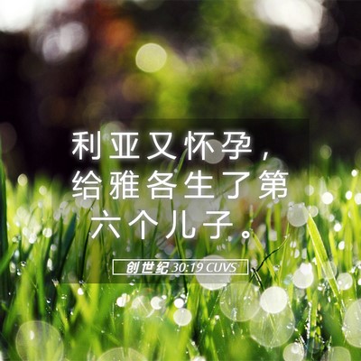 Picture 05 - 创 世 纪 30:19 CUVS - 利 亚 又 怀 孕 ， 给 雅 各 生 了 第 - Bible Verse Picture