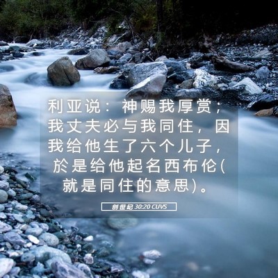 Picture 05 - 创 世 纪 30:20 CUVS - 利 亚 说 ： 神 赐 我 厚 赏 ； 我 丈 - Bible Verse Picture
