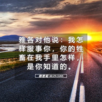 Picture 05 - 创 世 纪 30:29 CUVS - 雅 各 对 他 说 ： 我 怎 样 服 事 你 - Bible Verse Picture