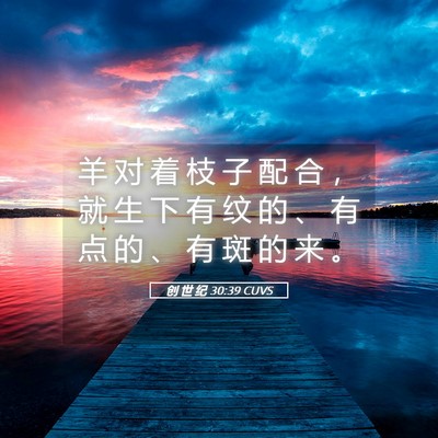 Picture 05 - 创 世 纪 30:39 CUVS - 羊 对 着 枝 子 配 合 ， 就 生 下 有 - Bible Verse Picture