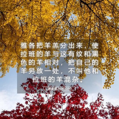 Picture 05 - 创 世 纪 30:40 CUVS - 雅 各 把 羊 羔 分 出 来 ， 使 拉 班 - Bible Verse Picture