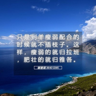 Picture 05 - 创 世 纪 30:42 CUVS - 只 是 到 羊 瘦 弱 配 合 的 时 候 就 - Bible Verse Picture
