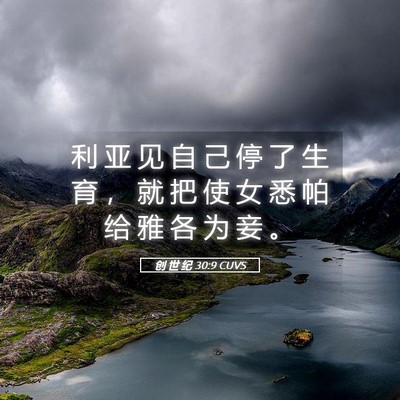 Picture 05 - 创 世 纪 30:9 CUVS - 利 亚 见 自 己 停 了 生 育 ， 就 把 - Bible Verse Picture