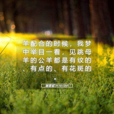 Picture 05 - 创 世 纪 31:10 CUVS - 羊 配 合 的 时 候 ， 我 梦 中 举 目 - Bible Verse Picture