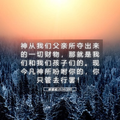 Picture 05 - 创 世 纪 31:16 CUVS - 神 从 我 们 父 亲 所 夺 出 来 的 一 - Bible Verse Picture