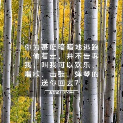 Picture 05 - 创 世 纪 31:27 CUVS - 你 为 甚 麽 暗 暗 地 逃 跑 ， 偷 着 - Bible Verse Picture