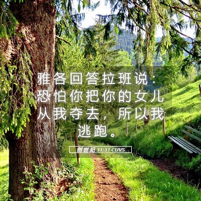 Picture 05 - 创 世 纪 31:31 CUVS - 雅 各 回 答 拉 班 说 ： 恐 怕 你 把 - Bible Verse Picture