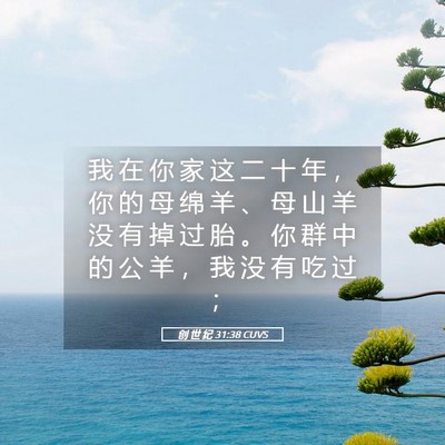 Picture 05 - 创 世 纪 31:38 CUVS - 我 在 你 家 这 二 十 年 ， 你 的 母 - Bible Verse Picture