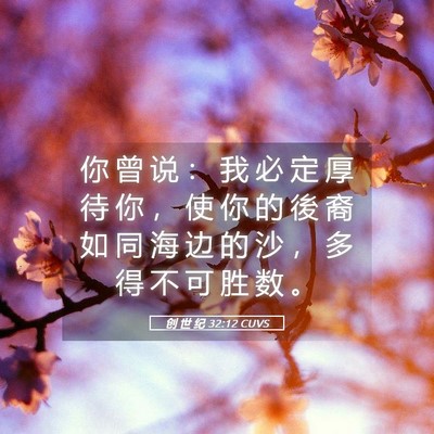 Picture 05 - 创 世 纪 32:12 CUVS - 你 曾 说 ： 我 必 定 厚 待 你 ， 使 - Bible Verse Picture