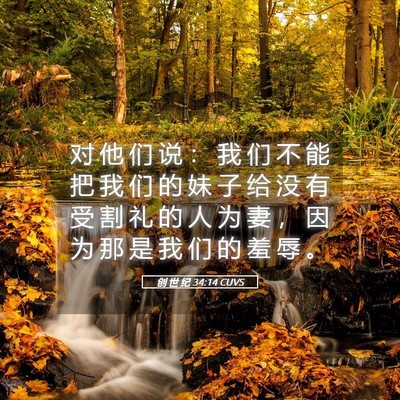 Picture 05 - 创 世 纪 34:14 CUVS - 对 他 们 说 ： 我 们 不 能 把 我 们 - Bible Verse Picture