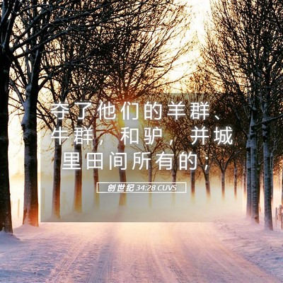 Picture 05 - 创 世 纪 34:28 CUVS - 夺 了 他 们 的 羊 群 、 牛 群 ， 和 - Bible Verse Picture